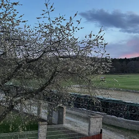 Feriehus Dobcicky Dum Dubné