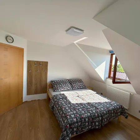 Dobcicky Dum 別荘 Dubné